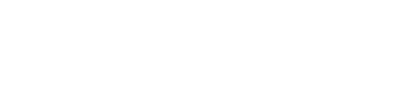 BRUNNER LOGO